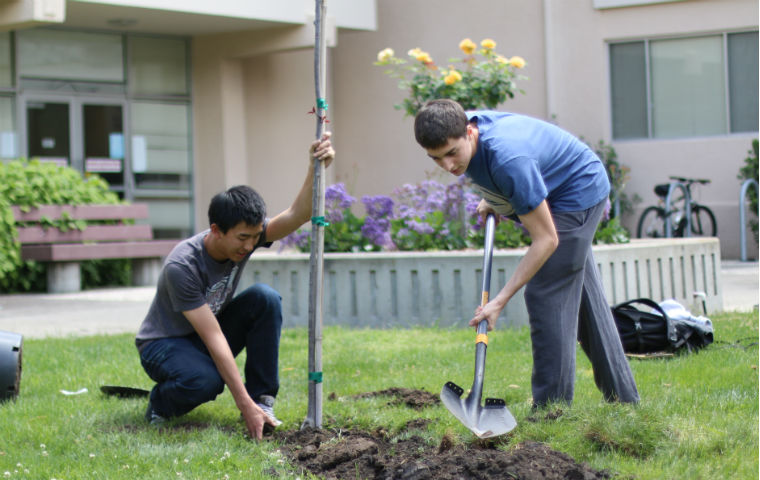 Students on campus planting trees. Smiling facing camera.
