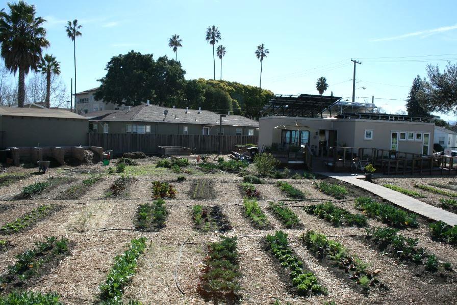 The Forge Garden Solar House in 2013 surrounded by rows of food crops grown in the ground.